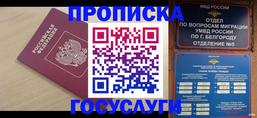 прописка законно в Барыше